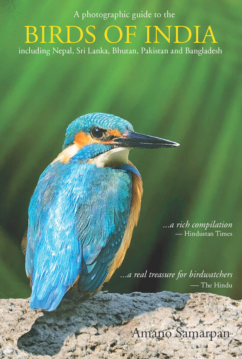 Birds Of India: A Photographic Guide