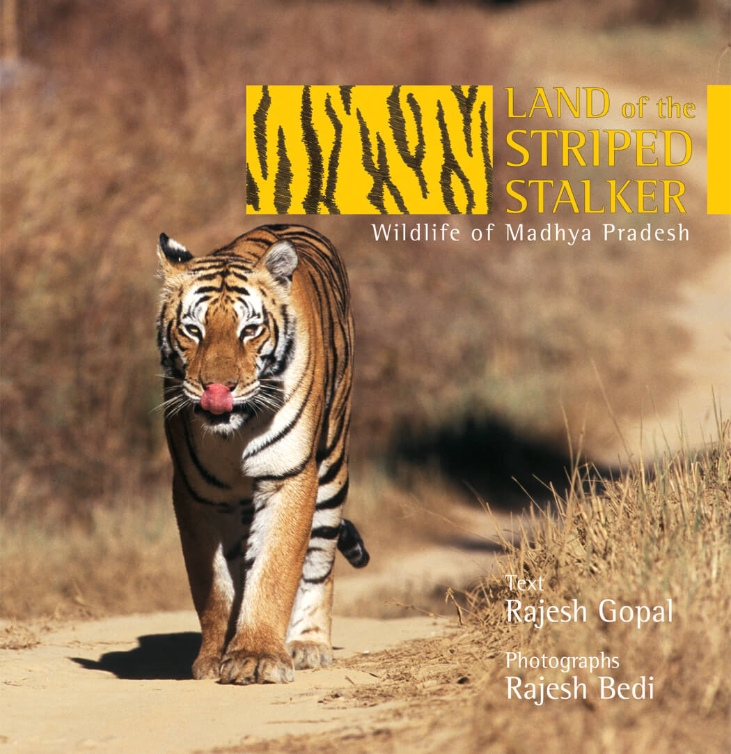 Land Of The Striped Stalker: Wildlife Of Madhya Pradesh