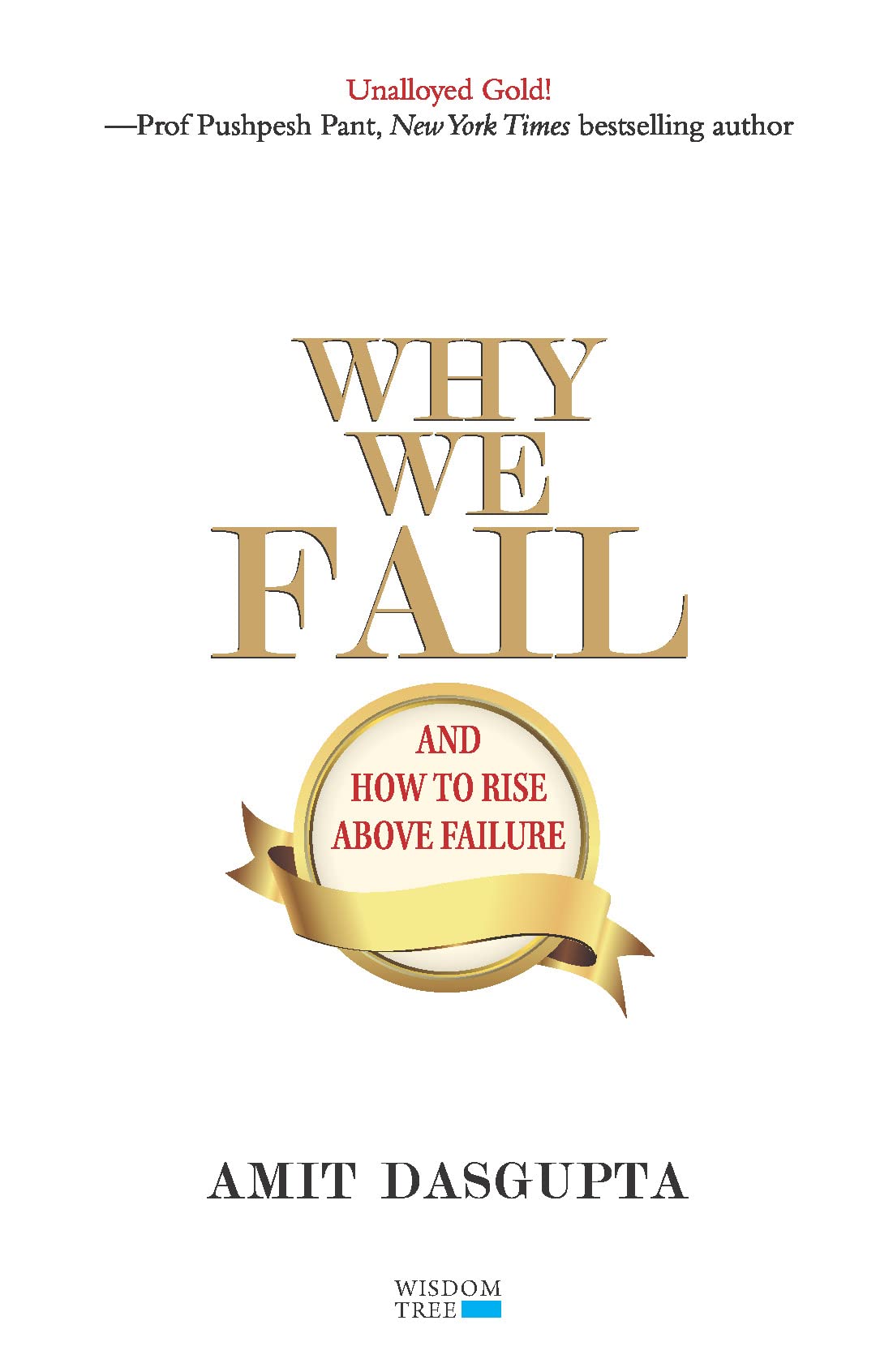 Why We Fail  And How To Rise Above Failure