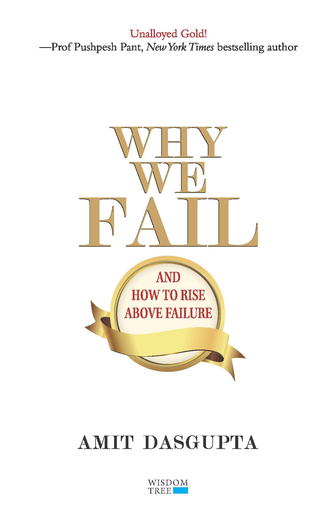 Why We Fail  And How To Rise Above Failure